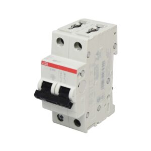 Interruptor termomagnético 2x16A 20/6kA 230/400V tipo C DIN