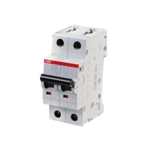 Interruptor termomagnético 2x25A 20/10kA 230/400V tipo C DIN