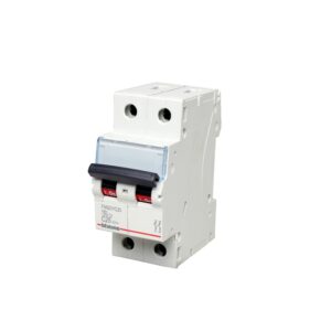 Interruptor termomagnético 2x25A 10/6kA 220/440V tipo C DIN BTDIN