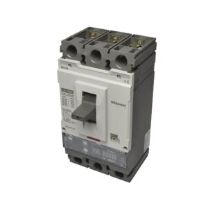 Interruptor termomagnético regulable 3x160-400A(690V) 100/65kA 220/440V