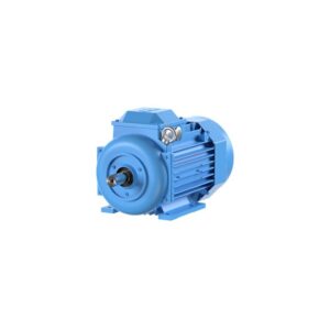 Motor trifásico 220/380/440V 1800RPM 4HP/3kW IP55 IE2 100
